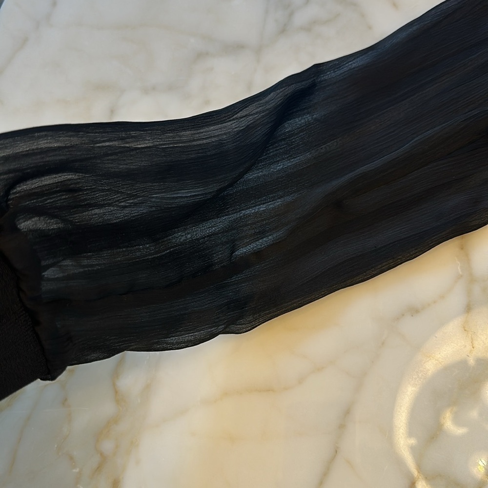 Zara Semi-Sheer Zip Up - Picture 5 of 6